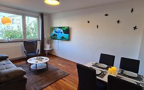 City Wohnung 3 Zimmer